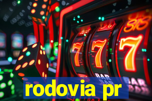 rodovia pr-317 km 155 onde fica
